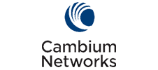 Cambium